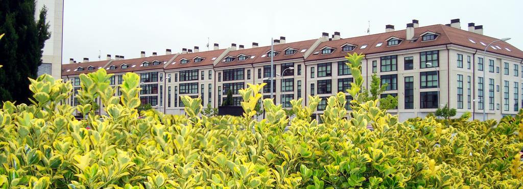 Apartamentos Lorien มีญาดอยโร ห้อง รูปภาพ